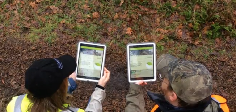 Meet the ESII Field App