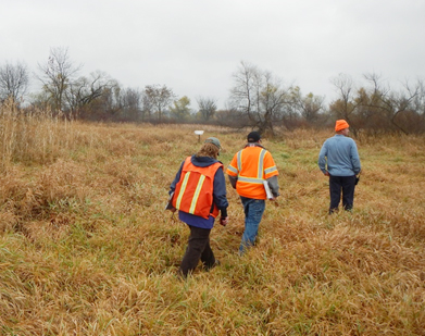 Field-Crews_cropped.jpg